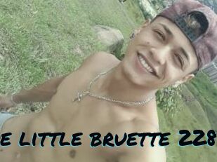 The_little_bruette_228