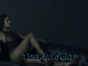 Thekinkycat