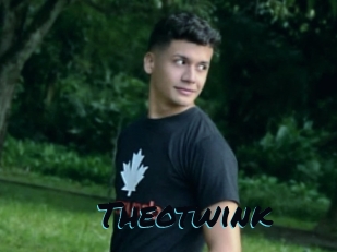 Theotwink