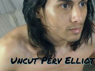 Uncut_Perv_Elliot