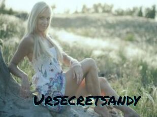 Ursecretsandy