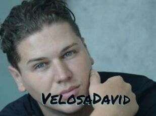 VelosaDavid