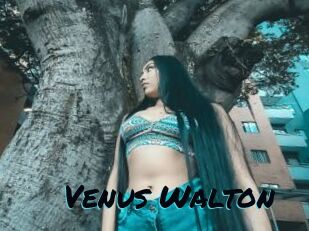 Venus_Walton