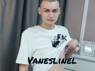 Vaneslinel
