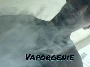 Vapor_genie