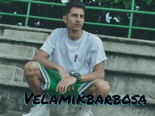 Velamikbarbosa