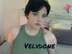 Velvdone