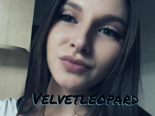 Velvetleopard