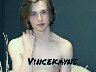 Vincekayne