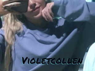 Violetcollen