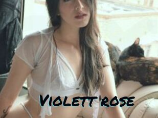 Violett_rose