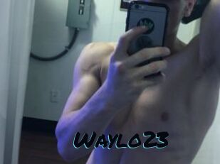 Waylo23
