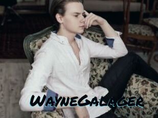 WayneGalager