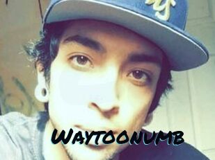 Waytoonumb
