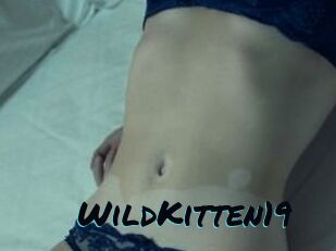 Wild_Kitten19