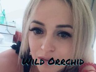 Wild_Orrchid