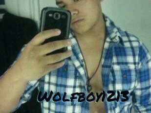 Wolfboy1213