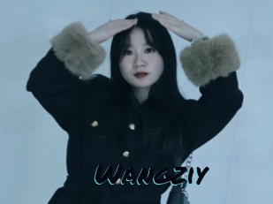 Wangziy