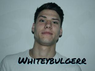 Whitey_bulgerr