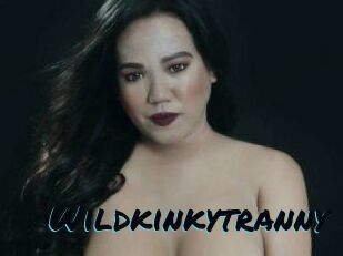 Wildkinkytranny