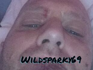 Wildsparky69