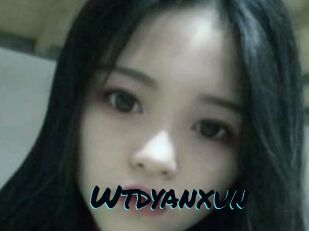 Wtdyanxun