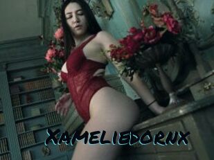 Xameliedornx