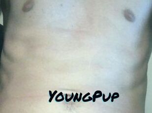 YoungPup
