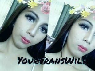YourTransWild