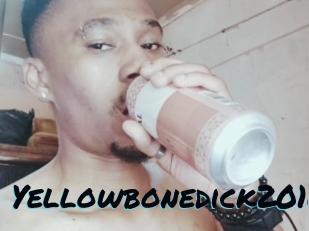 Yellowbonedick2010