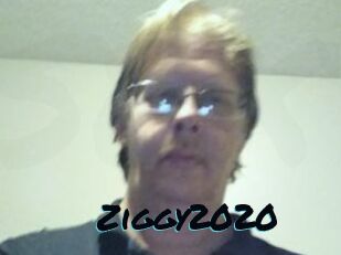 Ziggy2020