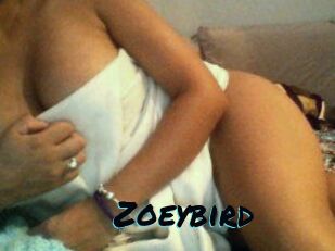 Zoeybird